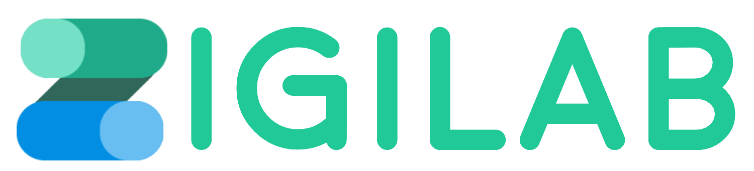 ZigiLab